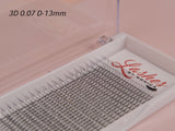 3D Silk Pre-made Lash Fan Trays x 12 Strip Trays