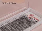 3D Silk Pre-made Lash Fan Trays x 12 Strip Trays