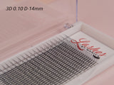 3D Silk Pre-made Lash Fan Trays x 12 Strip Trays