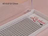 4D Silk Pre-made Lash Fan Trays x 12 Strip Trays