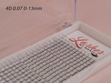 4D Silk Pre-made Lash Fan Trays x 20 Strip Trays