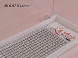 4D Silk Pre-made Lash Fan Trays x 12 Strip Trays