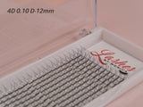 4D Silk Pre-made Lash Fan Trays x 20 Strip Trays