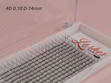 4D Silk Pre-made Lash Fan Trays x 12 Strip Trays