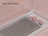 4D Silk Pre-made Lash Fan Trays x 12 Strip Trays